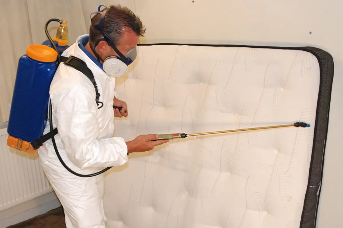 Bed Bug Heat Treatment (1)
