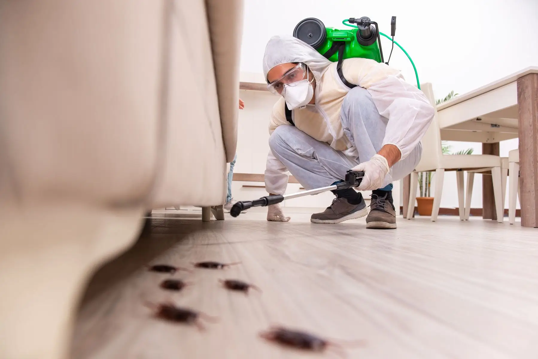 Insect Extermination (2)