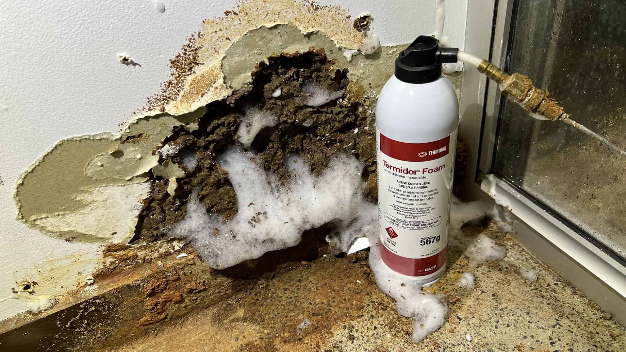 Termite Chemical Treatment – Advanced Protection Against Termite Infestations