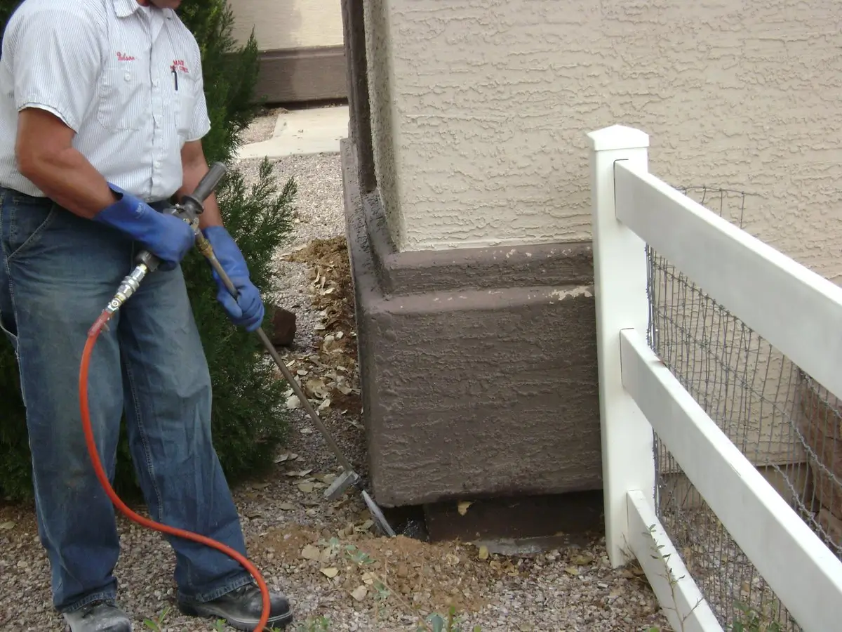 Termite Extermination (1)