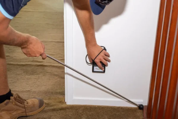 Termite Extermination